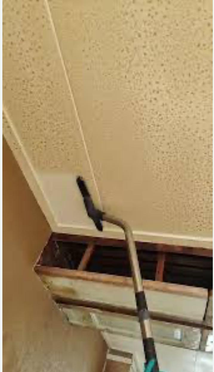 Plafond Reiniging
